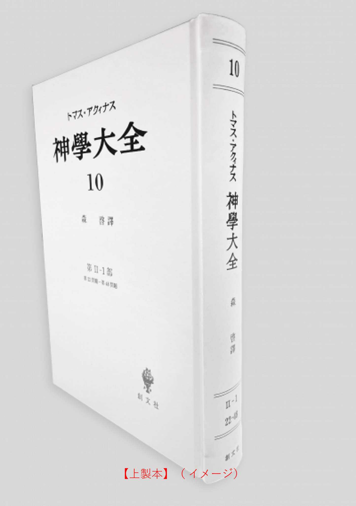 神学大全 10(第2-1部 22-48問題)