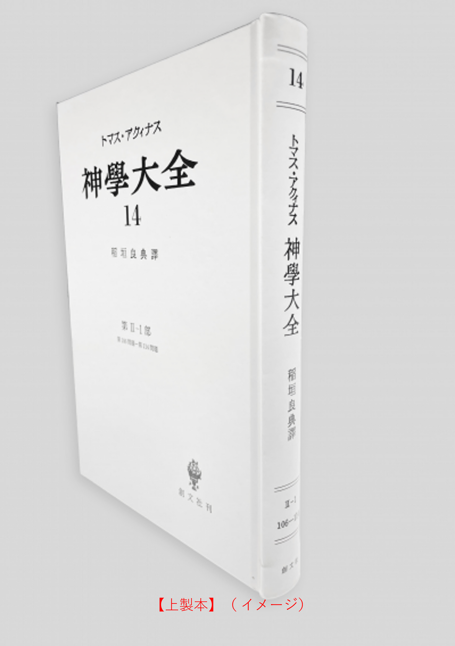 神学大全 14(第2-1部 106-114問題)