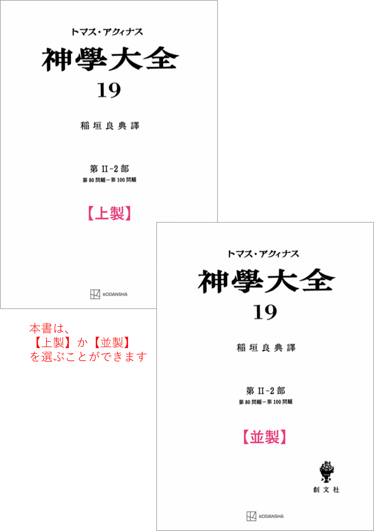 神学大全 19(第2-2部 80-100問題)