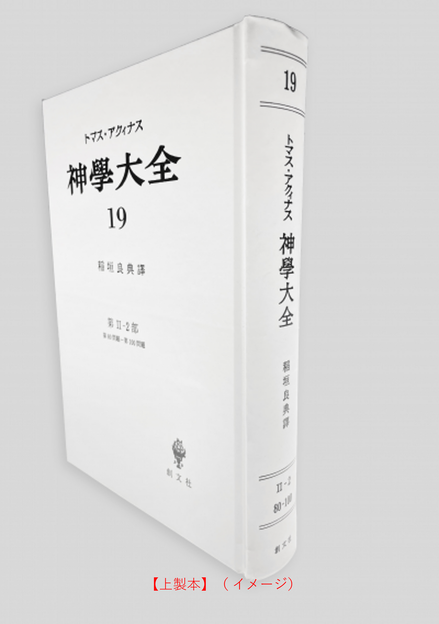 神学大全 19(第2-2部 80-100問題)
