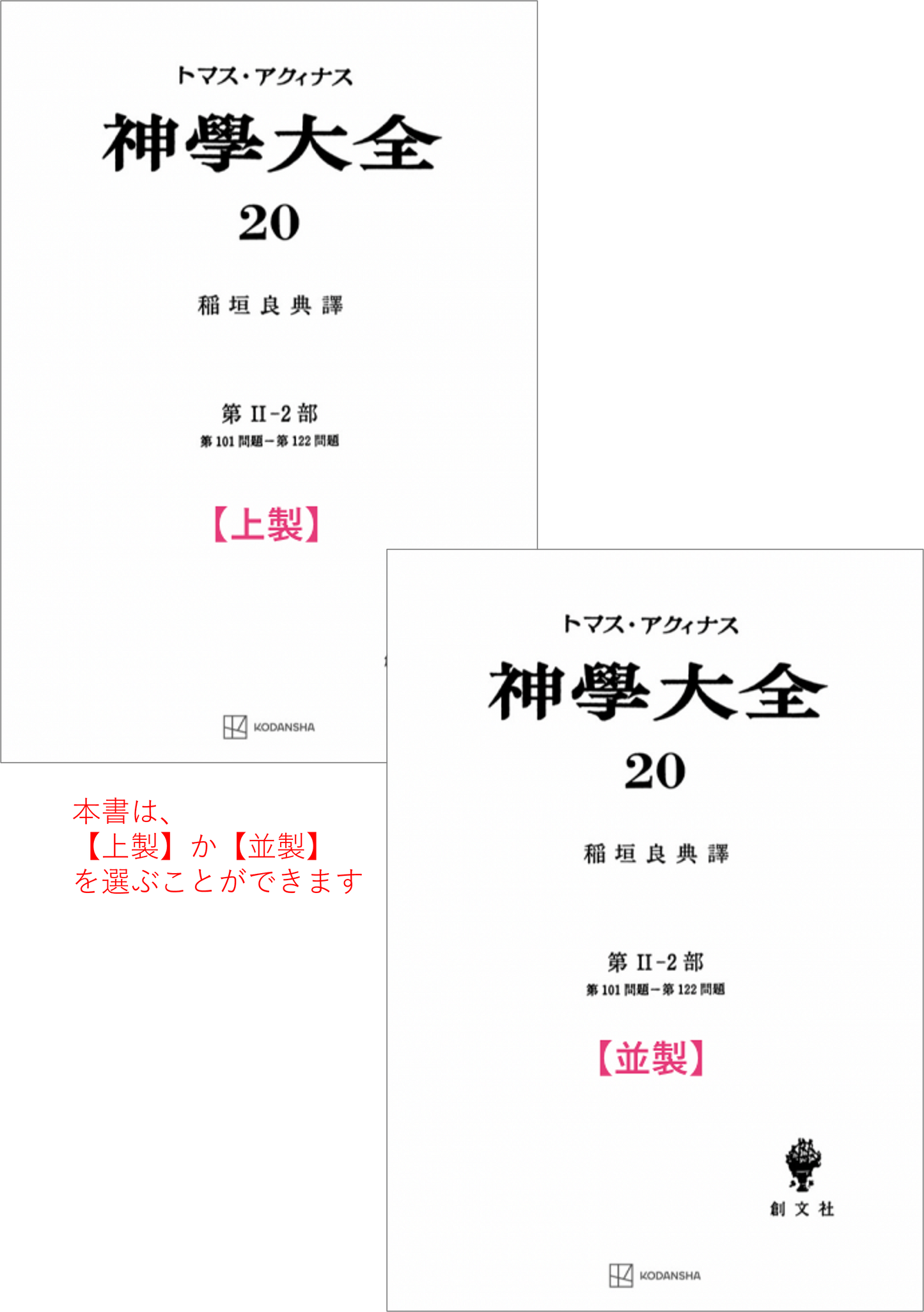 神学大全 20(第2-2部 101-122問題)