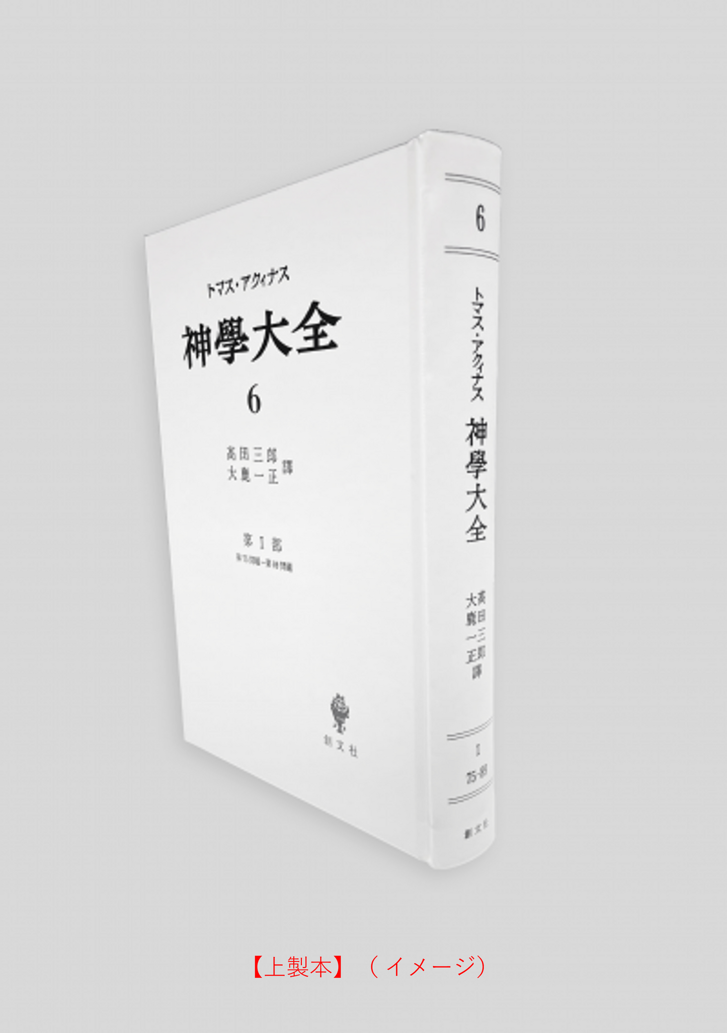 神学大全 6(第1部 75-89問題)