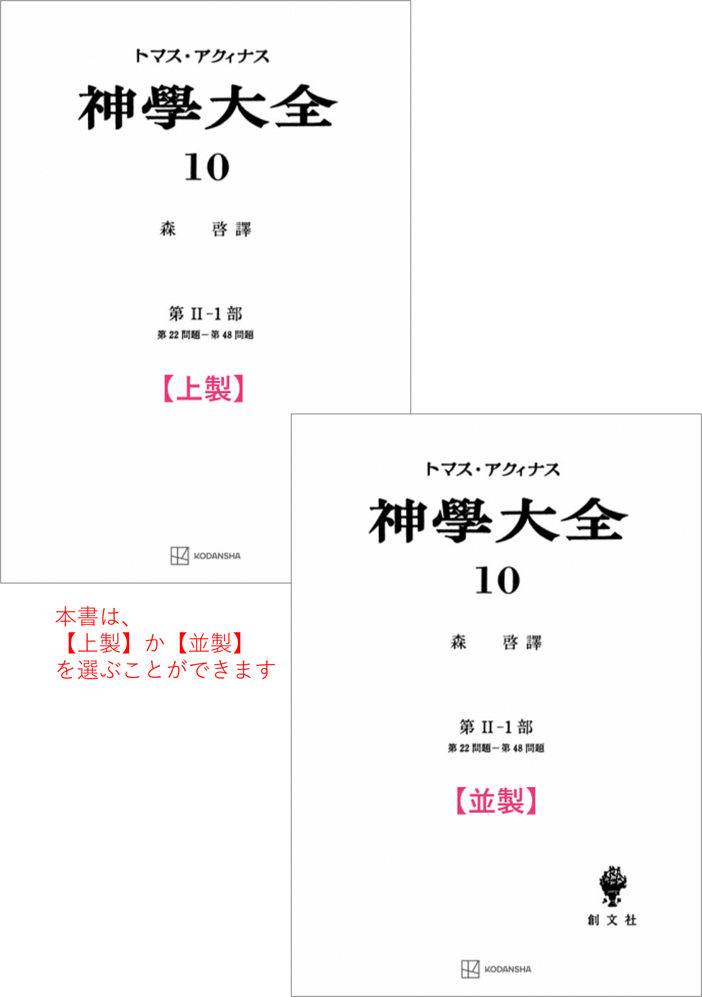 神学大全 10（第2-1部　22-48問題）