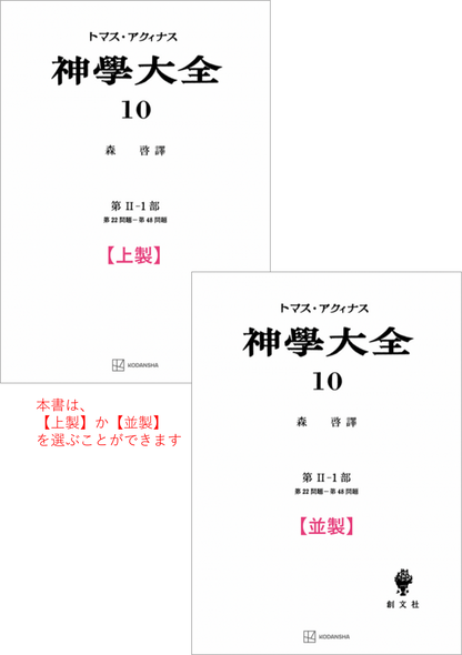 神学大全 10（第2-1部　22-48問題）