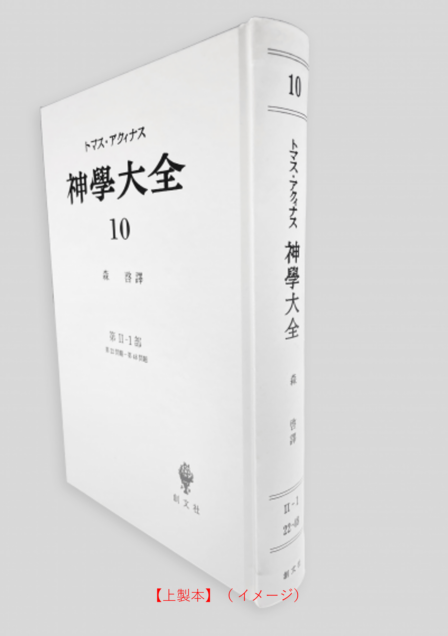 神学大全 10（第2-1部　22-48問題）