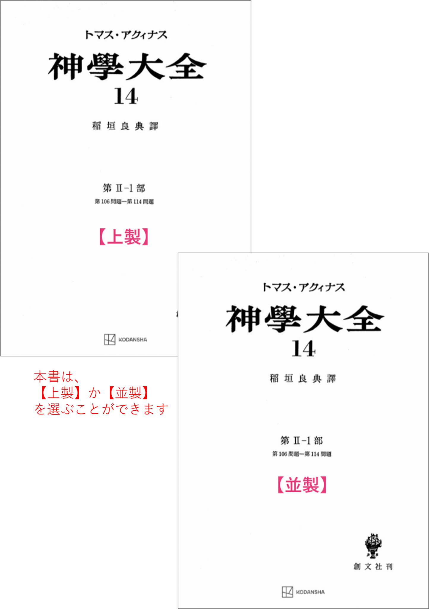 神学大全 14（第2-1部　106-114問題）