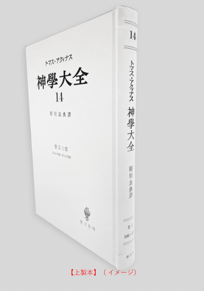 神学大全 14（第2-1部　106-114問題）