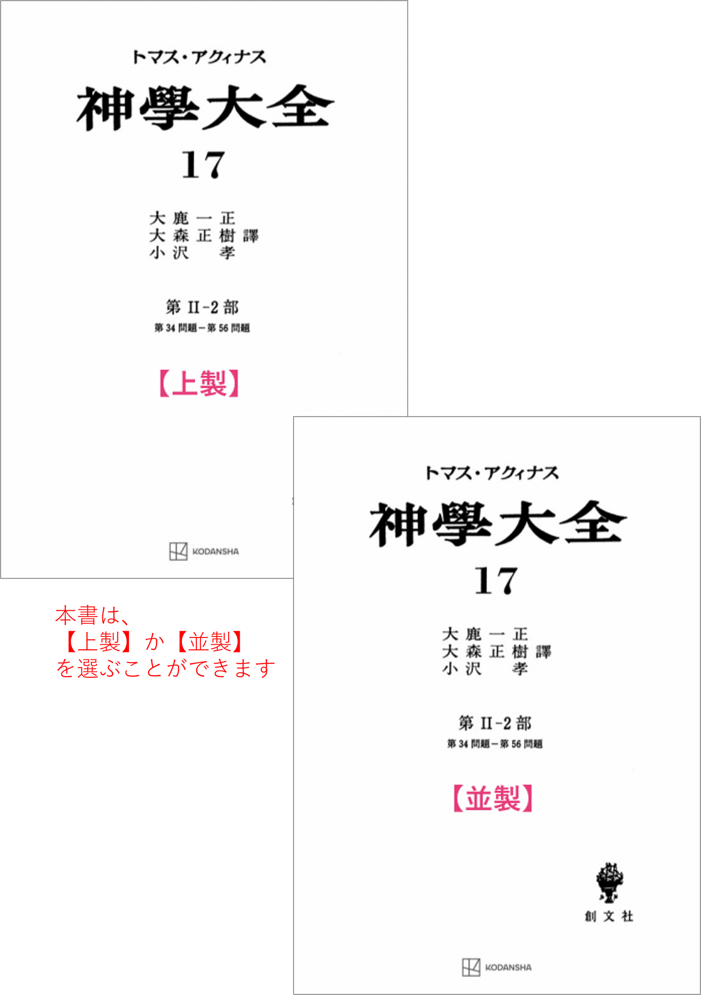 神学大全 17（第2-2部　34-56問題）