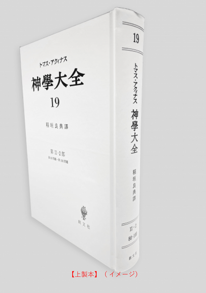 神学大全 19（第2-2部　80-100問題）