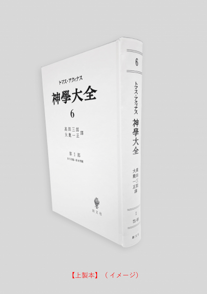 神学大全 6（第1部　75-89問題）