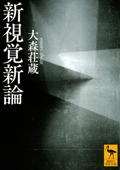 新視覚新論