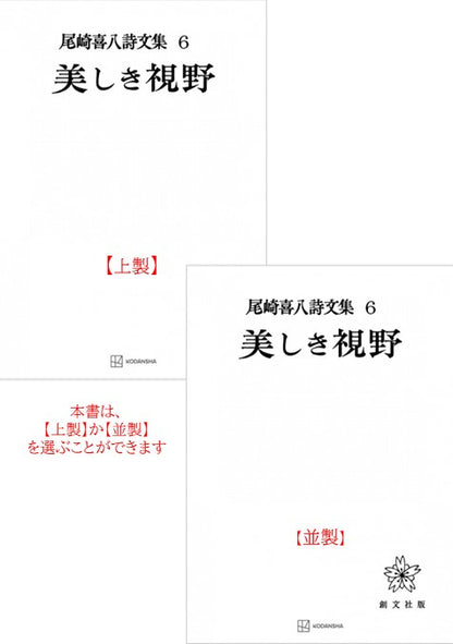 尾崎喜八詩文集６：美しき視野
