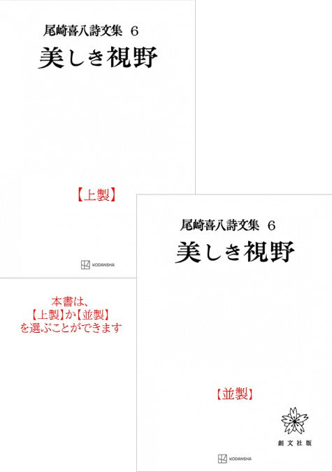 尾崎喜八詩文集６：美しき視野
