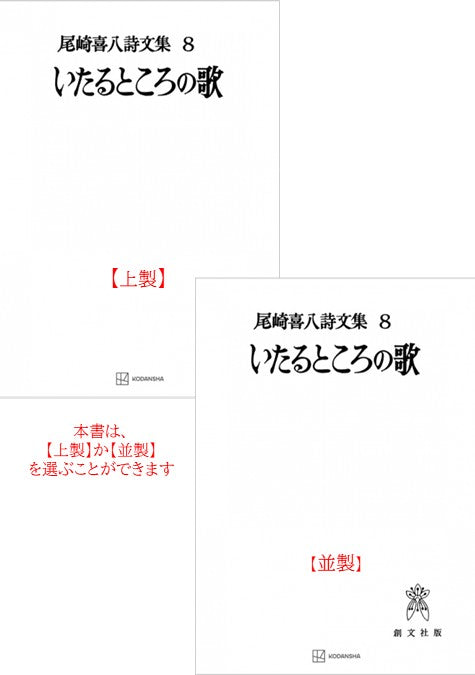 尾崎喜八詩文集８：いたるところの歌