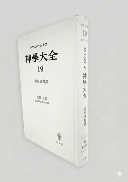 神学大全 19（第2-2部　80-100問題）