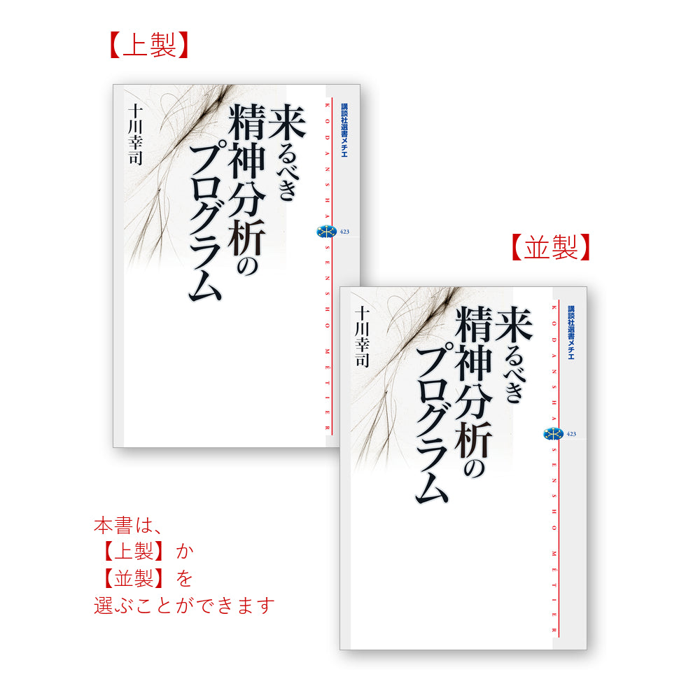 来るべき精神分析のプログラム